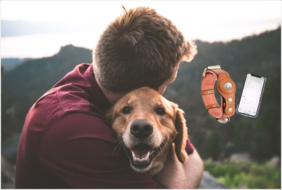 Airtag collar, iphone and happy pet and owner