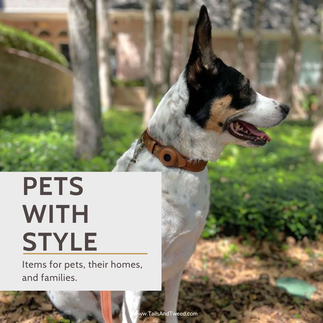Pets with style at Tails and Tweed