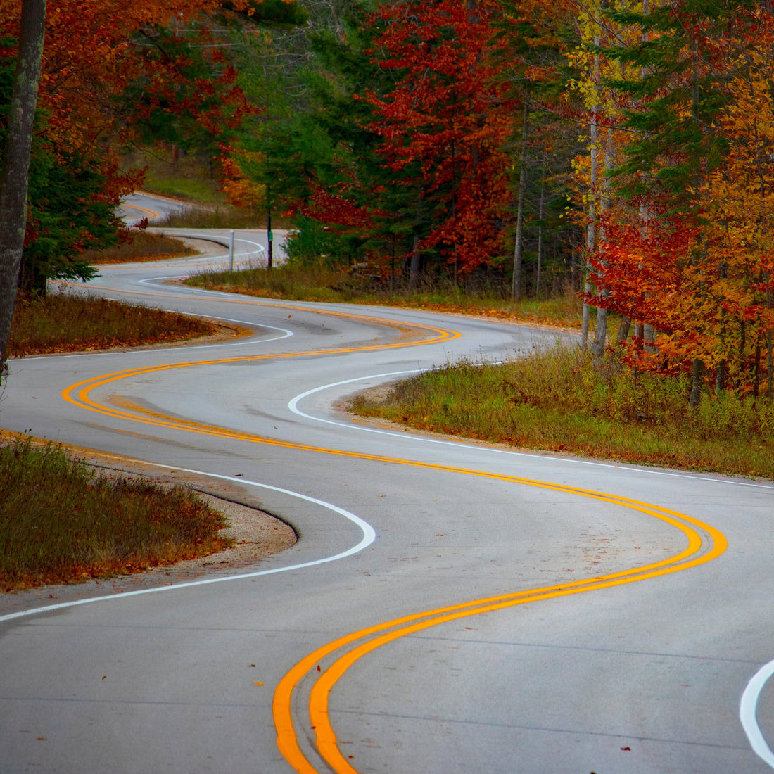 long and winding road to create the business