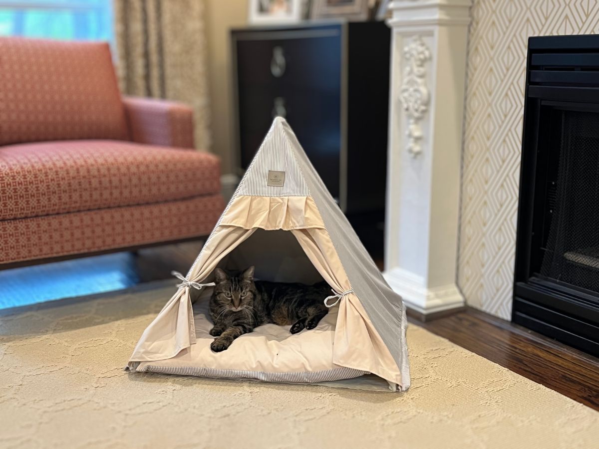 Luxurious tent bed for cats in grey and beige perfect in a living room.  Cozy cat inside on the thick cushion.