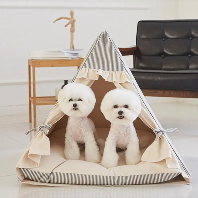 Luxury tent bed for dogs in beige and grey with 2 bichon frise sitting on the cozy cushion and looking out the tie back curtains.