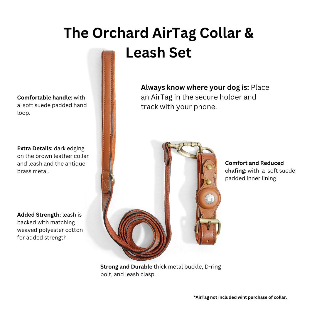 The Orchard Airtag collar and leash set benefits.  Comfortable handle. Contrasting edging.  Reinforced back on leash. Metal buckle and d-ring.  Comfort lining on collar.